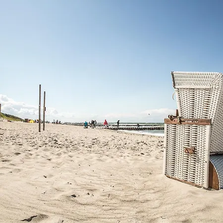 Schilfrohrsaenger 54 * Fuhlendorf (Mecklenburg-Vorpommern)