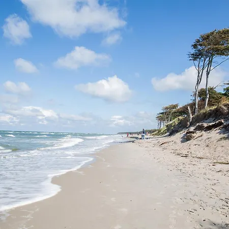 Semesterbostad Schilfrohrsaenger 54