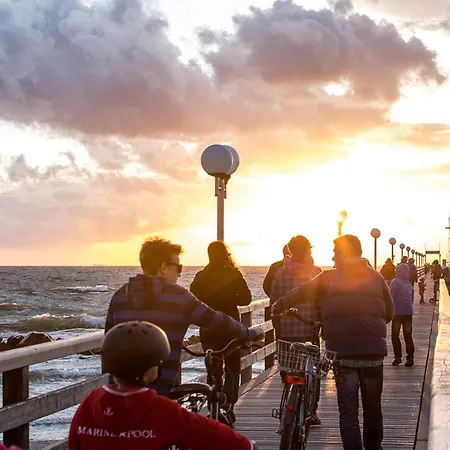 Schilfrohrsaenger 54