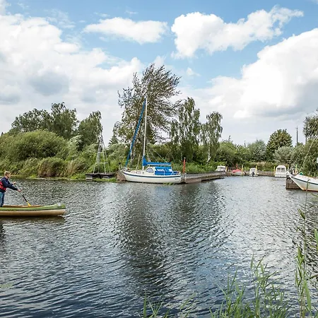 Schilfrohrsaenger 54 *