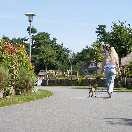 Schilfrohrsaenger 54