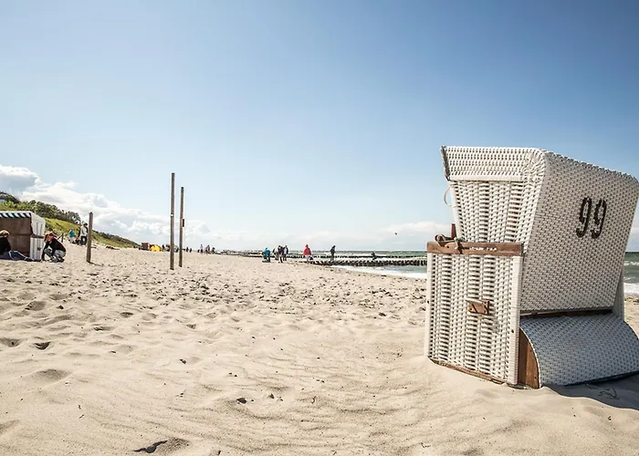 Schilfrohrsaenger 54 * Fuhlendorf (Mecklenburg-Vorpommern)